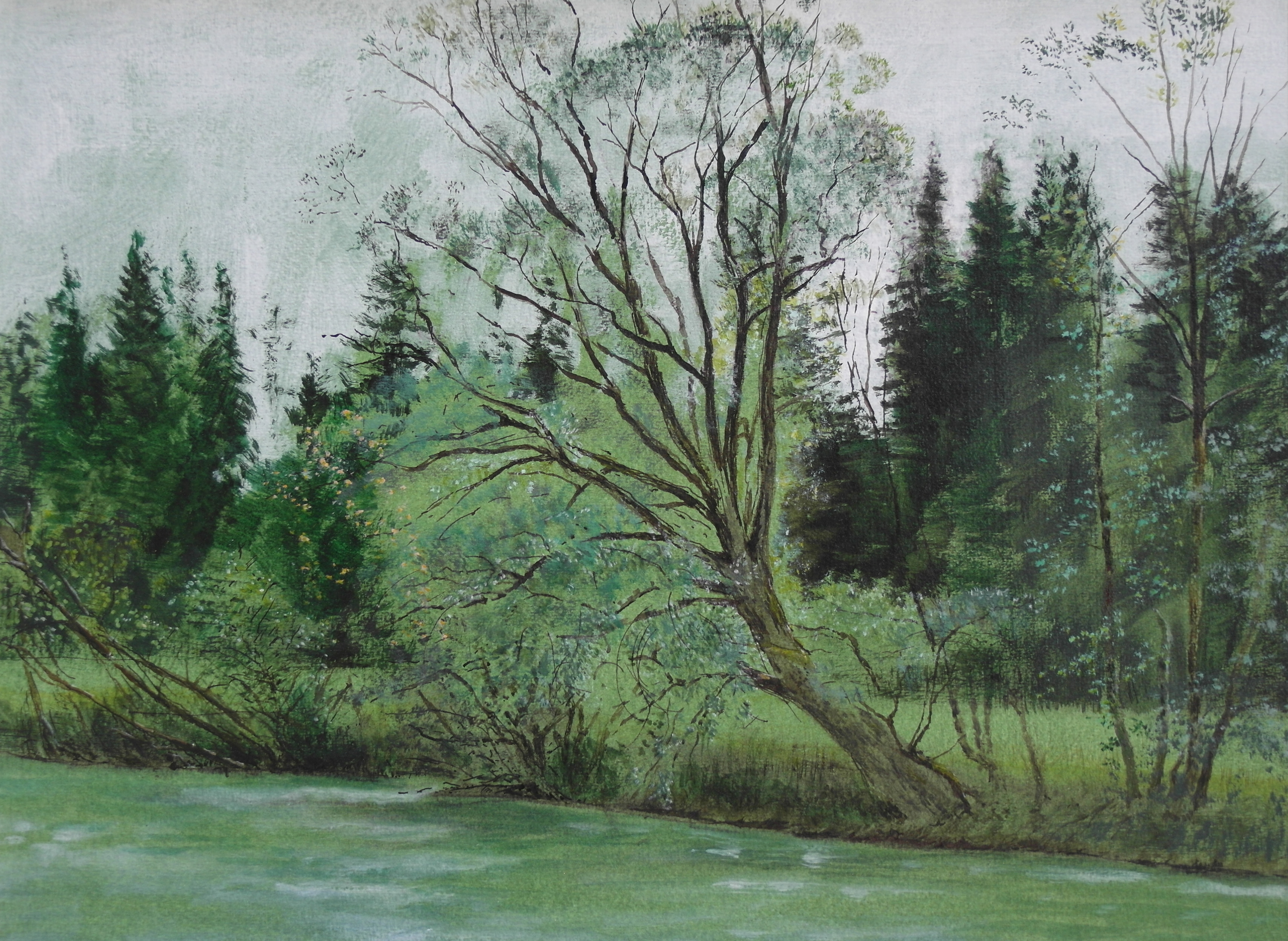 Weide am Fluss, 2011, Acryl, Tusche, Auquarell auf Papier, 30 x 40 cm